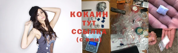 гидра Заволжье